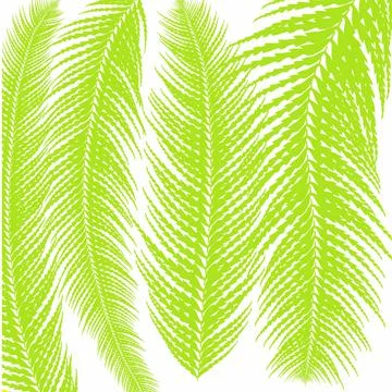 Leaf, pattern, seamless, nature, plant, vector, tree, fern, illustration, leaves Illustrazione stock