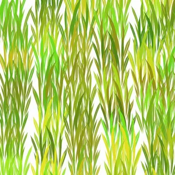Leaf, pattern, seamless, nature, plant, vector, tree, fern, illustration, leaves イラスト素材