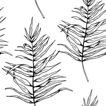 Leaf pattern. Seamless vector backdrop. Hand drawn tropical palm leaves on wh Stock Illustration