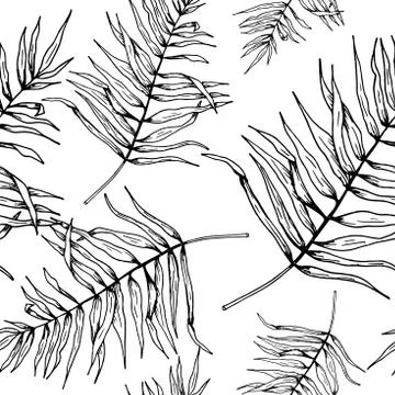 Leaf pattern. Seamless vector backdrop. Hand drawn tropical palm leaves on wh 스톡 일러스트