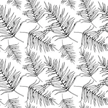 Leaf pattern. Seamless vector backdrop. Hand drawn tropical palm leaves on wh Stock Illustration
