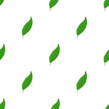 Leaf pattern seamless vector イラスト素材
