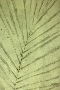Leaf pattern stamped on the old walls. Stock Photos