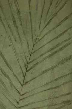 Leaf pattern stamped on the old walls. Stock Photos