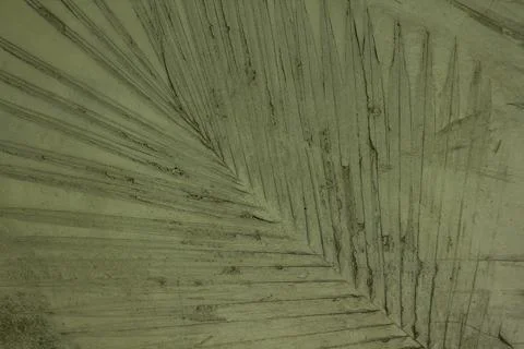 Leaf pattern stamped on the old walls. Stock Photos