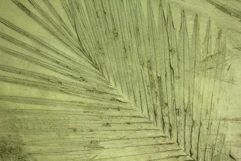 Leaf pattern stamped on the old walls. Stock Photos