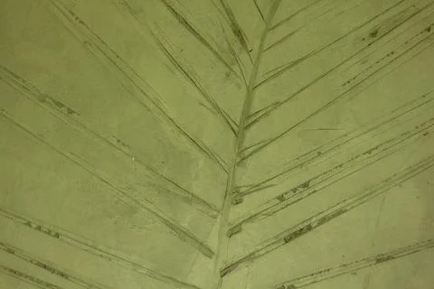 Leaf pattern stamped on the old walls. Stock Photos