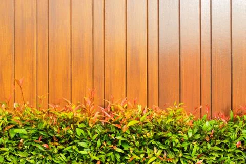 Leaf pattern on wood board Stock Photos