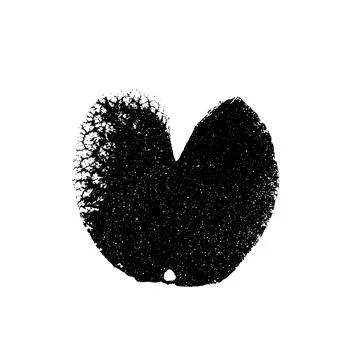 Leaf photocopy element. Collage botanical shape. Vector stippled nature 스톡 일러스트