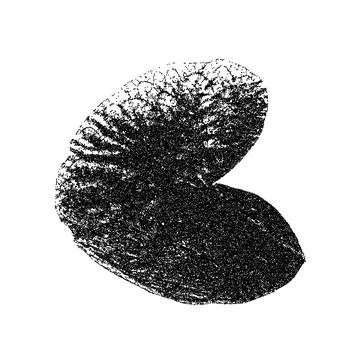 Leaf photocopy element. Collage botanical shape. Vector stippled nature Stock Illustration