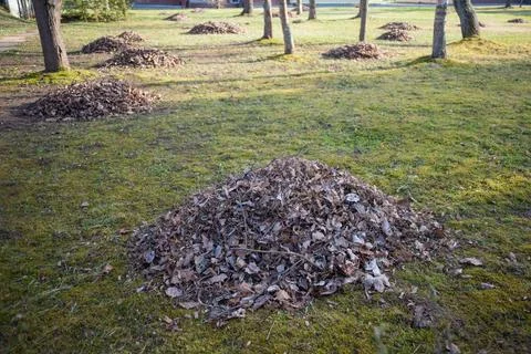 Leaf Pile in Garden Stock Photos