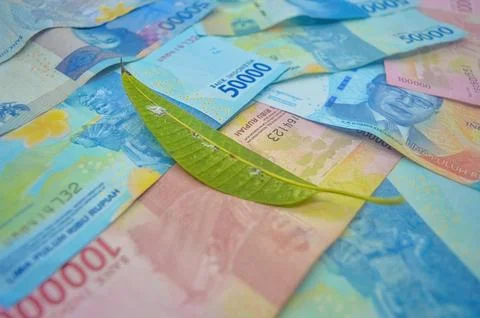 A leaf on a pile of rupiah notes Stock Photos