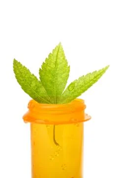 Leaf on pill bottle Stock Photos