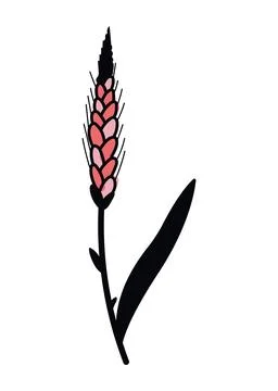 Leaf with pistil foliage Stock Illustration