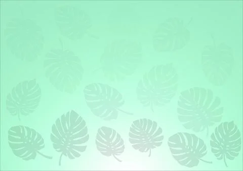 A leaf of a plant called monstera as a background to design your own work Stock Illustration