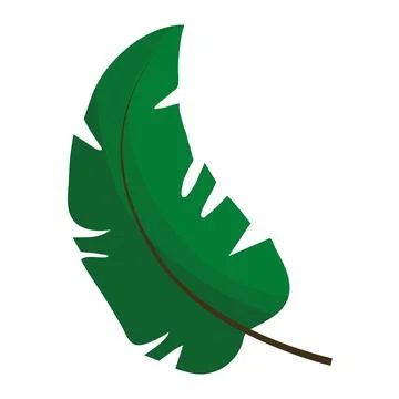 Leaf plant with feather form flat style icon Stock Illustration