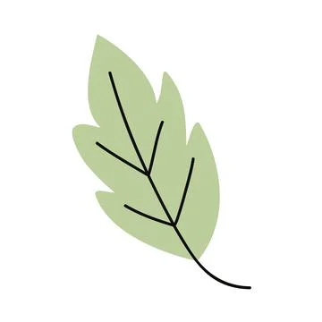 Leaf plant foliage 스톡 일러스트