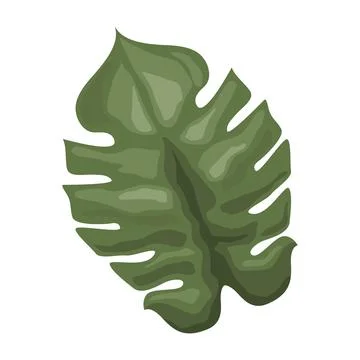Leaf plant foliage Stock Illustration