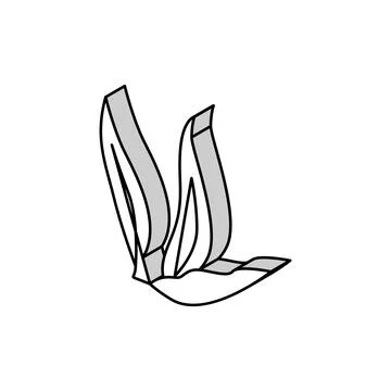 Leaf plant mango isometric icon vector illustration Stock Illustration