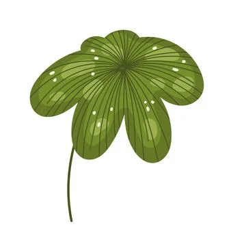 Leaf plant nature Stock Illustration