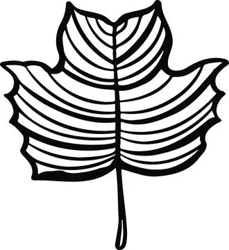 Leaf plant tree line drawing illustration symbol Stock Illustration