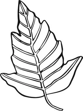 Leaf plant tree line drawing illustration symbol Stock Illustration