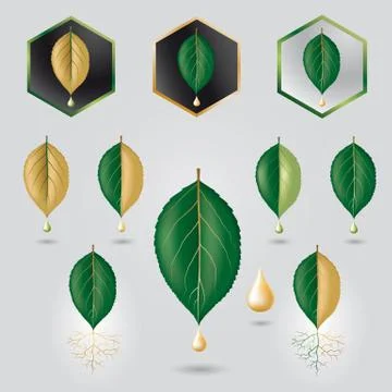 Leaf with precious sap Stock Illustration