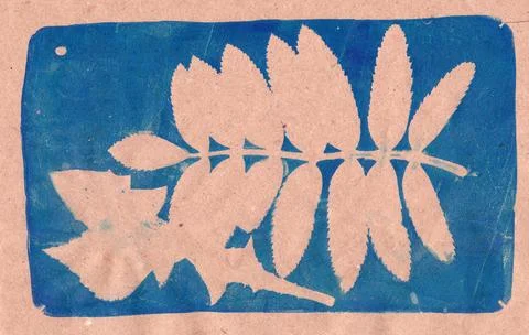 Leaf prints on a dark background, negative space, copy space, abstract Stock Illustration