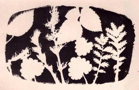 Leaf prints on a dark background, negative space, copy space, abstract Stock Illustration