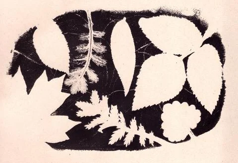 Leaf prints on a dark background, negative space, copy space, abstract Stock Illustration