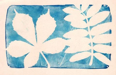 Leaf prints on a dark background, negative space, copy space, abstract Stock Illustration
