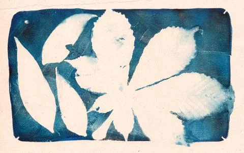 Leaf prints on a dark background, negative space, copy space, abstract Stock Illustration