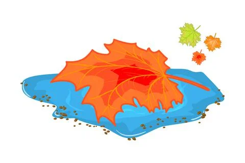Leaf in puddle isolated on white background. Maple leaf floating in puddle. Stock Illustration