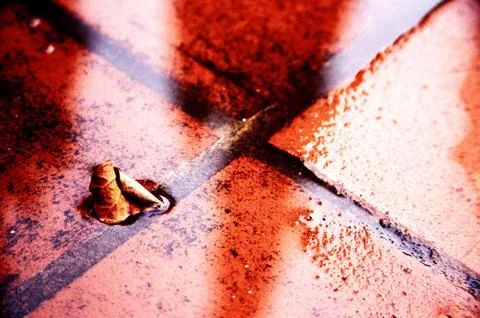 Leaf in a puddle Stock Photos