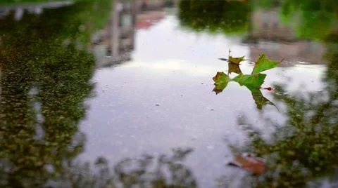 Leaf in the puddle of water. Autumn. Rain. Slider shot. Slow motion Stock Footage 68727459
