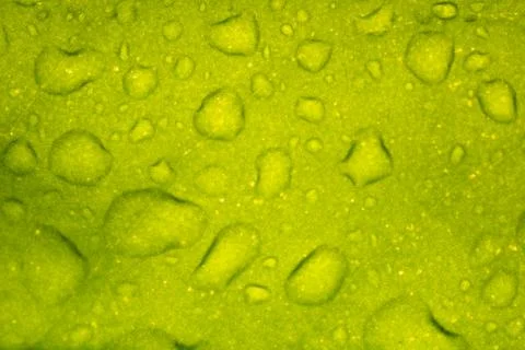 Leaf with raindrop Stock Photos