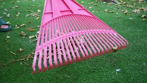 Leaf rake clears fallen leaves and autumn leaves from the lawn in a garden Video stock 295941337