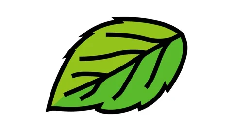 Leaf raspberry green color icon animation Stock Footage 225008120