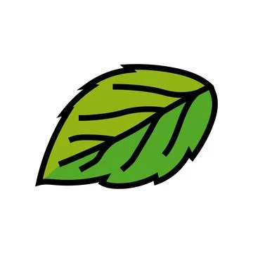 Leaf raspberry green color icon vector illustration Stock Illustration