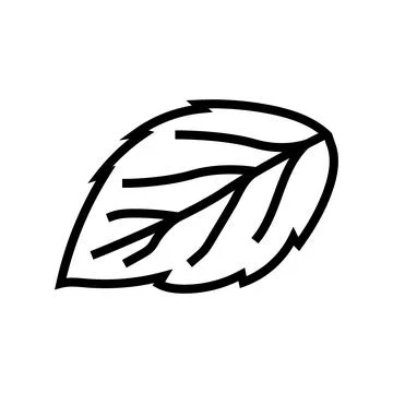 Leaf raspberry green line icon vector illustration Stock Illustration