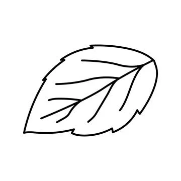 Leaf raspberry green line icon vector illustration Stock Illustration