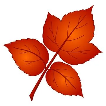 Leaf of raspberry, vector Stock Illustration