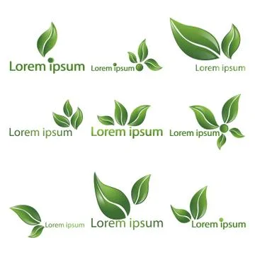 Leaf  realistic vector logotypes Stock Illustration