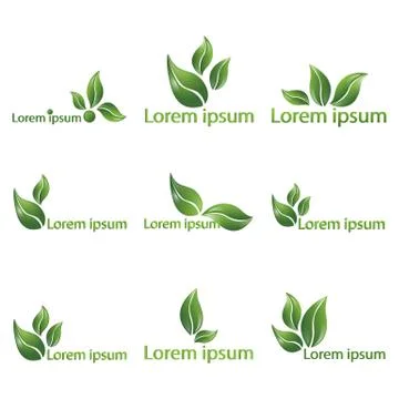 Leaf  realistic vector logotypes Stock Illustration