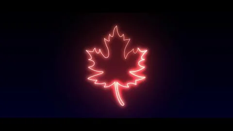 Leaf red in highlight and glow effect mp4 video 스톡 일러스트