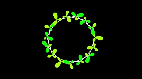 Leaf retro frame title holder Stock Footage 342321654