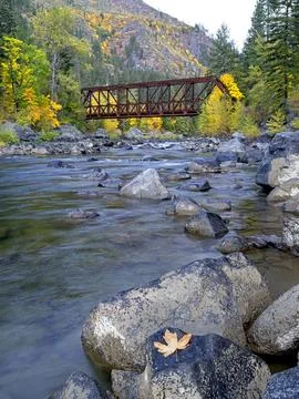 Leaf on rock by the Wenatchee River. Stock Photos