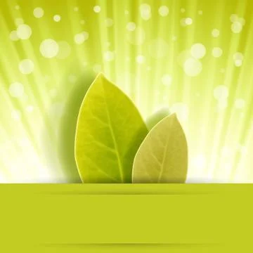 Leaf rust with shadow  in cute background Illustrazione stock