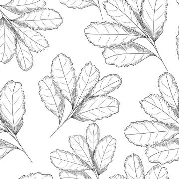 Leaf seamless pattern. Engraved style. Hand drawn vector illustration. Stock Illustration