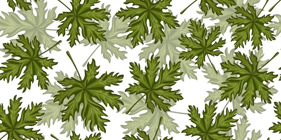 Leaf seamless pattern on white background. Retro tropical plants in engraving Stock Illustration